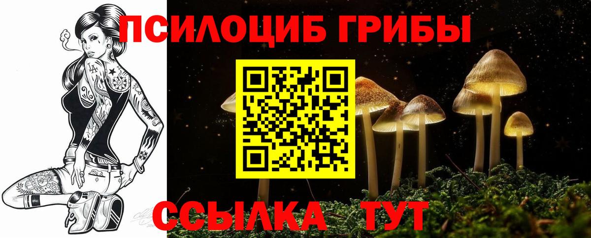 Галлюциногенные грибы GOLDEN TEACHER Губкин