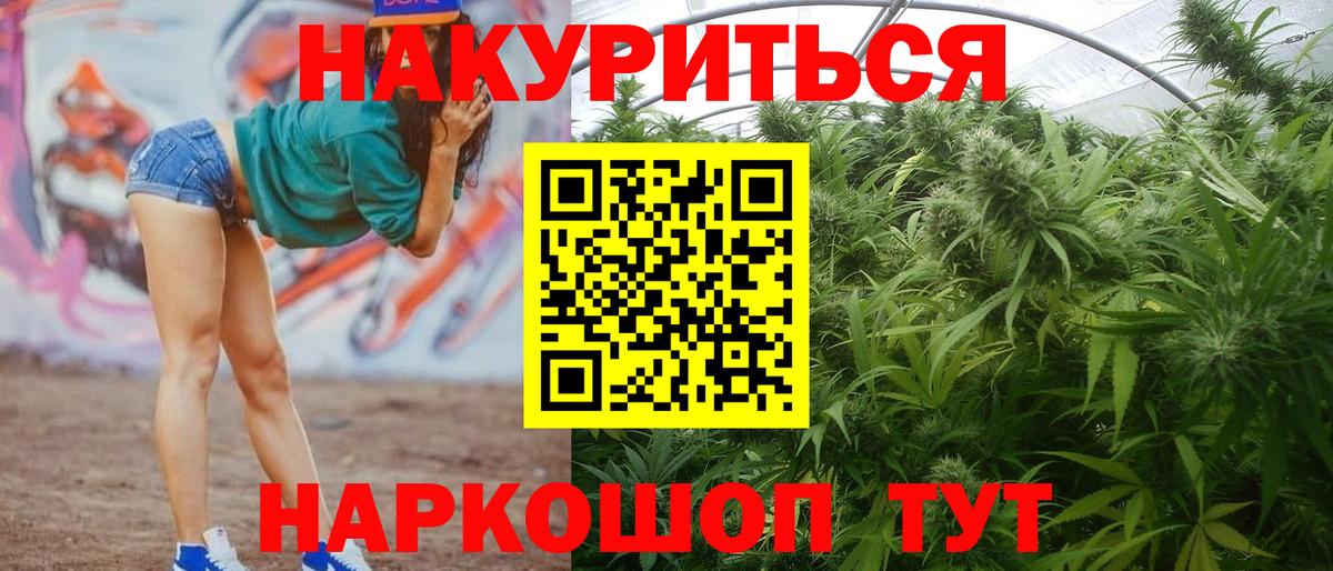 Бошки марихуана ГИДРОПОН Губкин